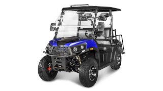 Vitacci Rover 200 EFI Golf Cart Assembly