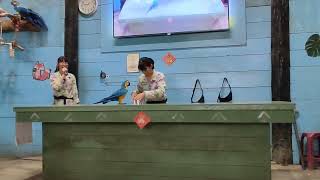 鸚鵡表演～小白球在哪個杯子裡？