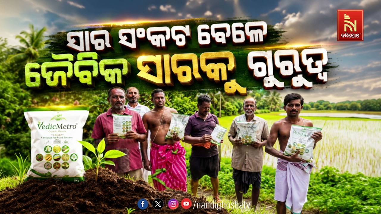 ସାର ସଂକଟ ବେଳେ ଜୈବିକ ସାରକୁ ଗୁରୁତ୍ବ