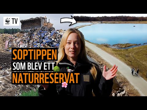 , title : 'Soptippen som blev ett naturreservat! 🏭➡🌳 Hur räddar man en avfallsplats? | WWF TV'