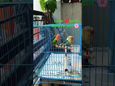 #kanav😘#photoshoot 😁😍 #lovebirds