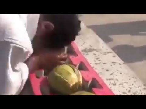 The most green coconuts smashed with the head in one minute😮😳🔥🤩 Eeei🥱