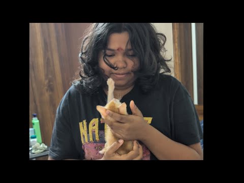 Dhruv playing with Yash #love #funny #cat #krish #pets #trending 