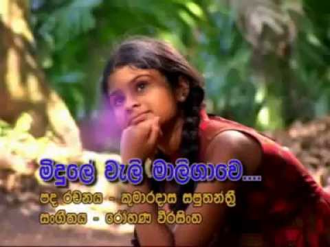 download lagu mp3 mp4 Midule Weli Maligawe, download lagu Midule Weli Maligawe gratis, unduh video klip Download Midule Weli Maligawe Mp3 dan Mp4 Music Gratis