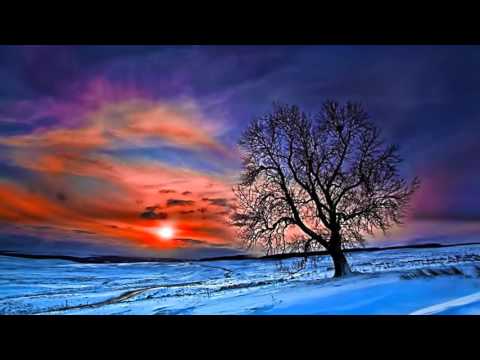 🏔️ 'Winter Light' 🏔️ Chillstep Mix ○ Melodic Dubstep ☀️ 528 hz