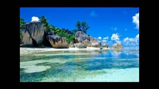 HD Sleep Sounds Ocean Waves & Birds in the Background - Perfect Peaceful Sleep and Relaxation 8 hrs