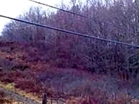 Homes for Sale - 2090 Southbridge Rd - Warren, MA 01083 - Dorrinda Okeefe-Shea