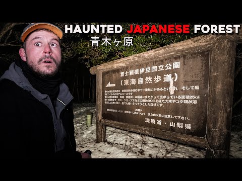 I SAW THE MOST TERRIFYING THING IN THE HAUNTED JAPANESE FOREST | AOKIGAHARA 青木ヶ原