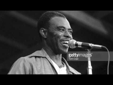 J.B. Hutto      ~      Blues For Fonessa ( Full Album )  1976