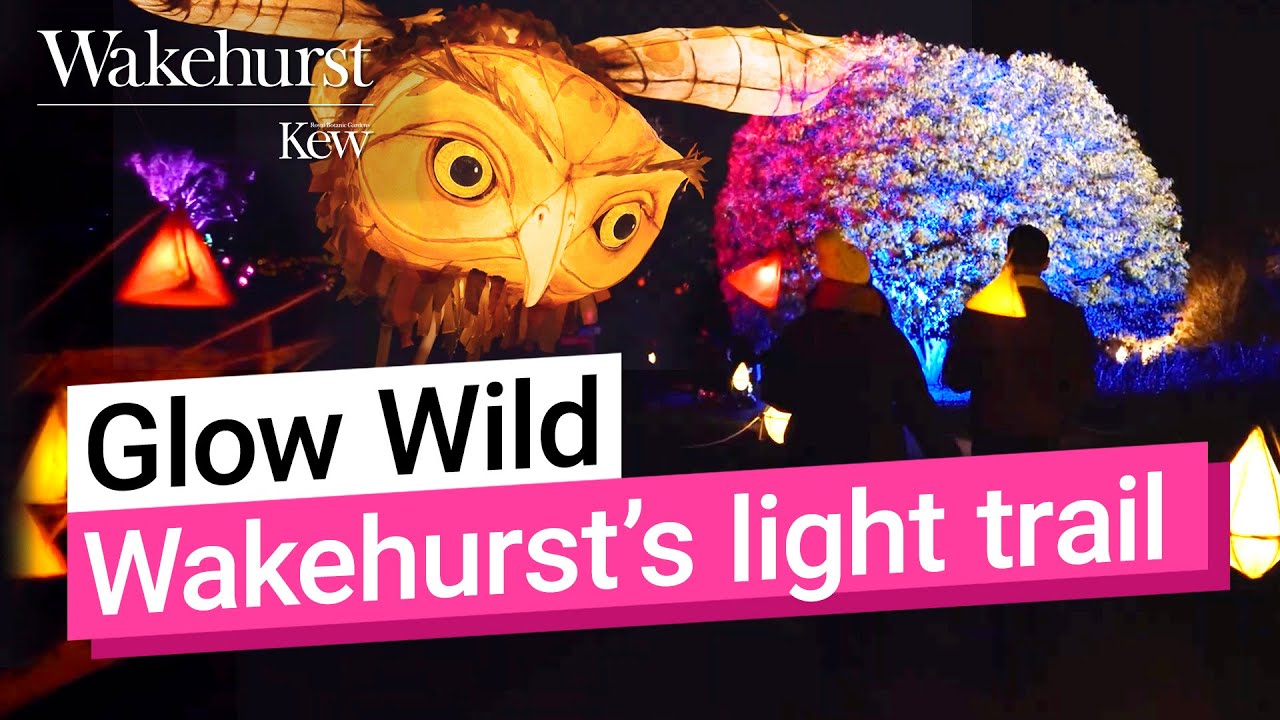 Glow Wild | Wakehurst