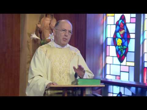 Journeying Companions of Christ | Homily: Father Charles Bourke
