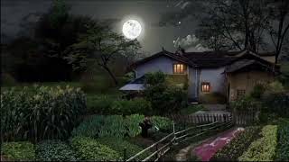 Download lagu Suasana Pedesaan ~ Malam hari yang menenangkan mp3