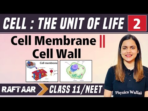 Cell : The Unit of Life 02 || Cell Membrane || Cell Wall || Class 11/NEET || RAFTAAR