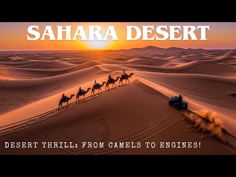 Morocco - Sahara Desert Adventure: Camel Ride & ATV Thrill Experience! Part 3