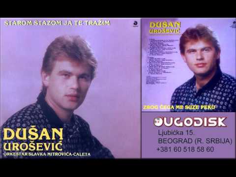 Dusan Urosevic Dule - Bila si mi sve bogastvo - (Audio 1989)