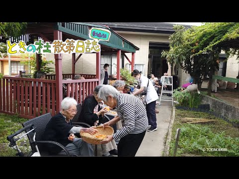 ときの杜散策日誌「24節気【夏至】 -太陽の恵み-」編 No.051  |   ときの杜 愛知県幸田町 ケアホーム穂の香・あや音
