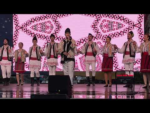 Robert Dumitru - Bine-i şade mesei mele