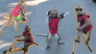 Download lagu FUNNY MONKEY TOPENG MONYET LUCU NAIK MOTOR, ANGKAT BEBAN DAN NAIK ENGGRANG mp3 Download lagu FUNNY MONKEY TOPENG MONYET LUCU NAIK MOTOR, ANGKAT BEBAN DAN NAIK ENGGRANG mp3