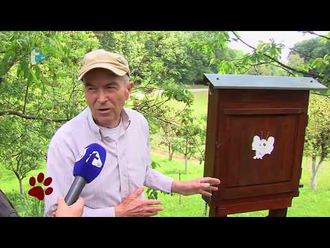 Životinjska farma 54 20052017 OPG pčelarstvo Krnić