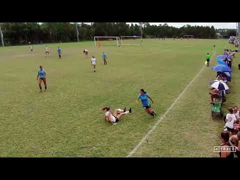 Fall 2024 and WAGS Highlights