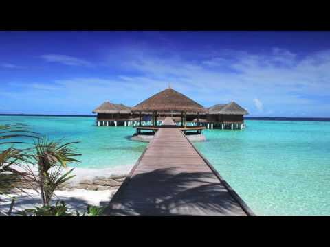 OMFG - Hello ( Will & Tim Remix ) Free Music