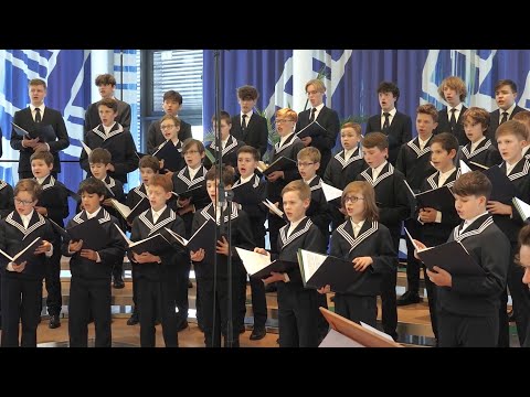 Ein Wald für Bach // Gruß & Dank des Thomanerchores Leipzig #einwaldfuerbach