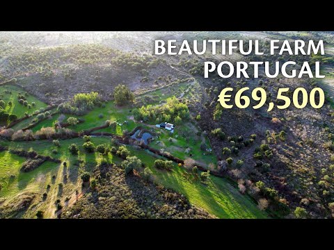 Beautiful 2 hectare farm FOR SALE near Monsanto  | €69,500 | Portugal Property