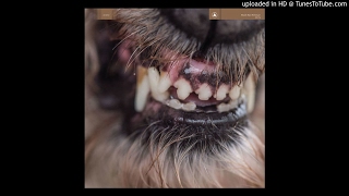 Blanck Mass - Silent Treatment