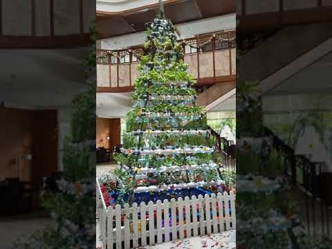 , title : 'Keren pohon natal hidroponik - Christmas Tree - Hydroponic - hidroponik indoor'