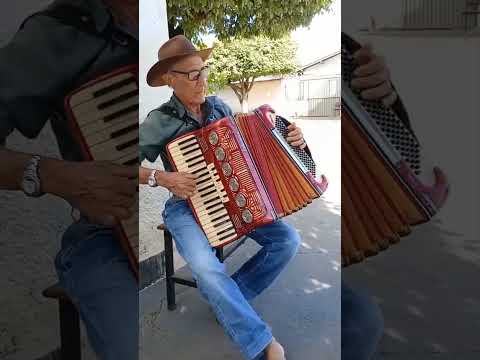 Forró dois pra cá, dois pra lá - Voninho. Sanfoneiro Sinésio  de Goianésia - Goiás. #forrozão.