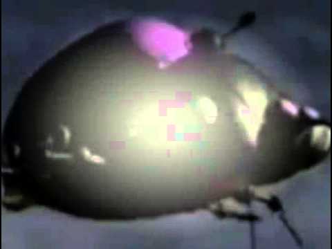 Insektors Episode 7   The Daffodil Collector