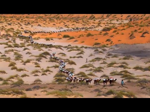 Laroz Camel Rider - Floating FT Amir Shahsar (Original)