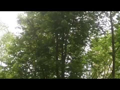 SEHR laute Musik aus dem Nachbarhaus. ..20.5.15