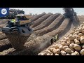 Harvesting MILLIONS Of Tons Of PEANUTS To Make Delicious Peanut Butter