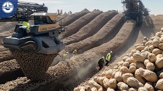 Harvesting MILLIONS Of Tons Of PEANUTS To Make Delicious Peanut Butter