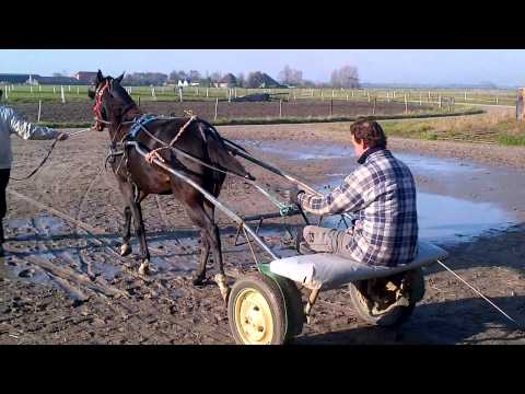 The crack for the future Dick Francis Egon Lavec X Mikado