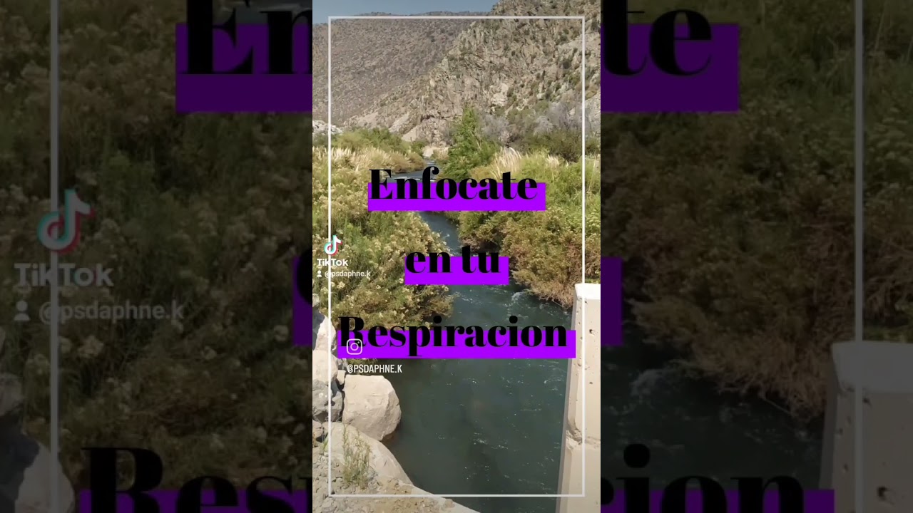 Daphne Klein Reitich-12