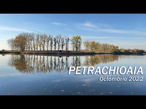 PETRACHIOAIA | Octombrie 2022