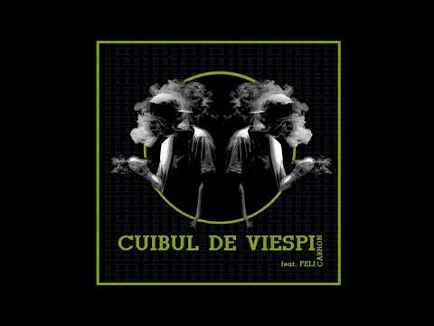 Video thumbnail for Cuibul de viespi