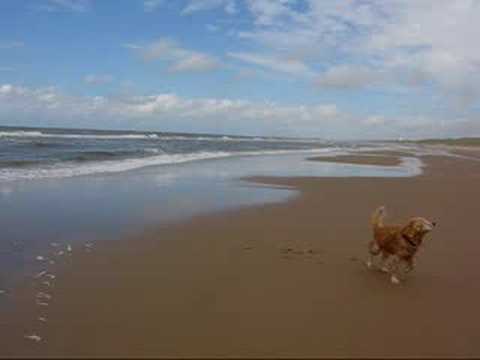 Aan zee video thumbnail