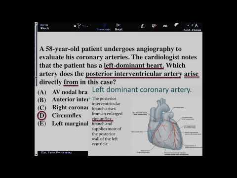 USMLE Practice Questions and Answers #41 I Anatomy