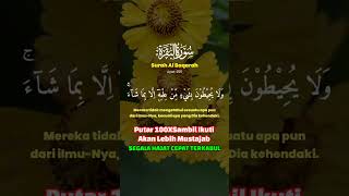 Download lagu Ayat Kursi❗ Ayat Penenang Hati dan Pikiran - beautifull Quran Recitation by Alaa Aqel mp3