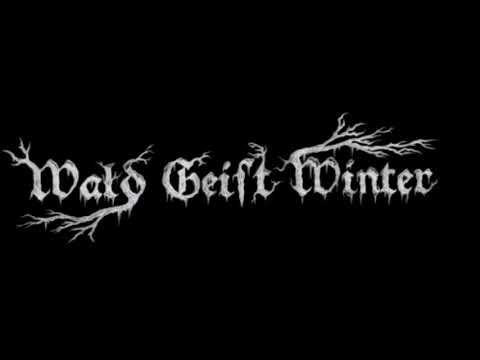 Wald Geist Winter - Leblos Im Moor