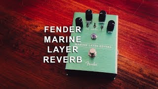 Video thumbnail for Fender: MARINE LAYER REVERB by Brett Kingman