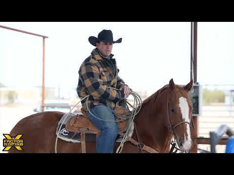Box Work with Rhen Richard | X Factor Team Roping | Heading Tips