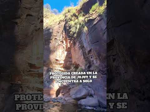 vanlife jujuy #shorts #viajarporargentina #vivirviajando #vanlife #motorhome