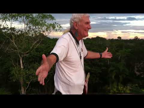 Listening to the Plants : Ancient Chavin Culture Origins in Amazonian Plant Shamanism