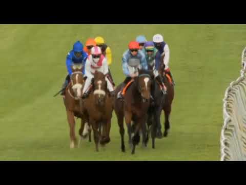 MARINA - World Sports Betting River Jetez Stakes