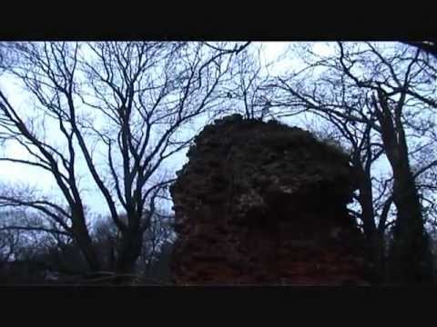 Grubbenvorst Dreijt Door 2012 - Lord of the Strings