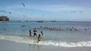 preview picture of video 'Playa de Pampatar. Isla Margarita. Venezuela'